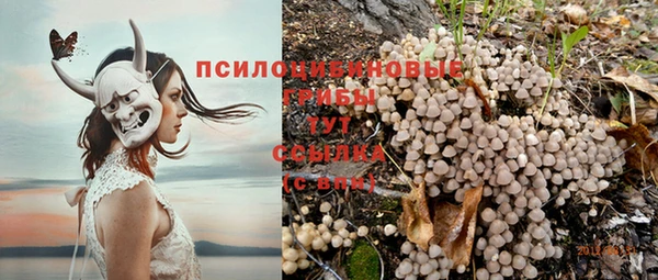кокс Алексин