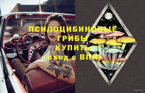 кокс Алексин