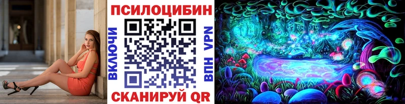 Псилоцибиновые грибы Cubensis  мориарти формула  Богданович 