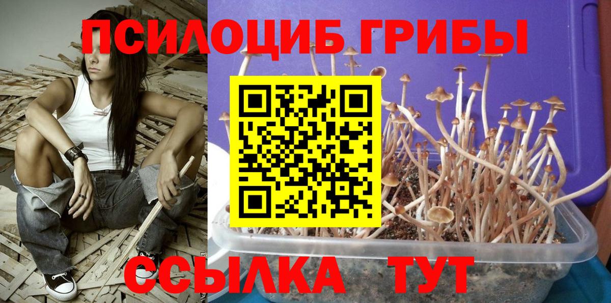 Богданович  Галлюциногенные грибы ЛСД  Вход с VPN 