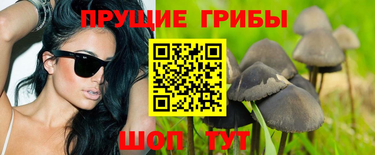ГЕРОИН Богданович
